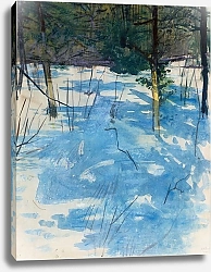 Постер Тайер Эббот Зима, Монаднок