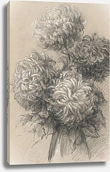 Постер Шуффенекер Клод Хризантемы