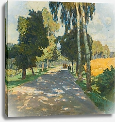 Постер Молл Карл Tree lined road in Bruntál