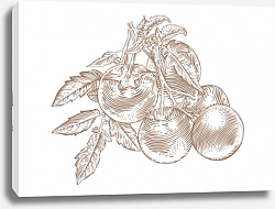 Постер Ветка с томатами и листьями