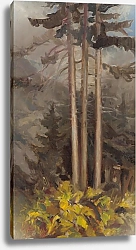 Постер Палугяй Золо Ели