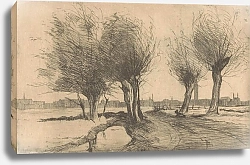 Постер Грондхаут Виллем Wilgen aan de sloot in de Binckhorst in Den Haag