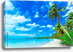 Постер Тропический пейзаж в солнечный день
