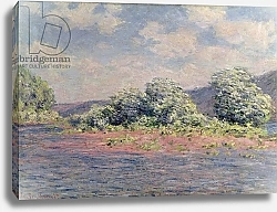 Постер Моне Клод (Claude Monet) The Seine at Port-Villez, c.1890