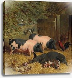 Постер Херринг Джон Беркширские седельные лошади и куры во дворе, устланном соломой