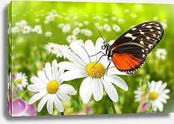 Постер Бабочка монарх на цветке ромашки в летнем поле