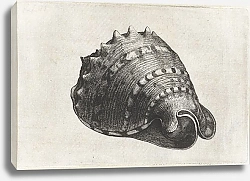 Постер Холлар Вецеслаус (грав) Horned helmet