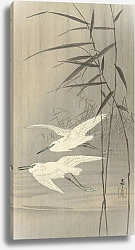 Постер Косон Охара Two egrets in flight