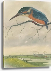 Постер Эвербэг Франц Царёк на ветке в луговом пейзаже