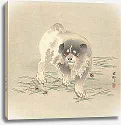 Постер Косон Охара Puppy