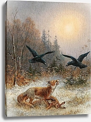 Постер Мюллер Моритц Лиса защищает свою добычу