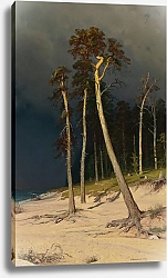 Постер Шишкин Иван Песчаная береговая линия