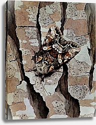 Постер Робер Поль-Андре Смежная