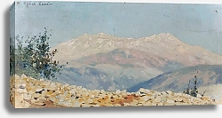 Постер Брукман  Генри Djebel Saharien