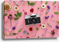 Постер Старинная камера и сухие цветы на розовом фоне