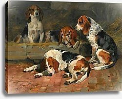 Постер Эммс Джон Бигли – Отцы Стаи