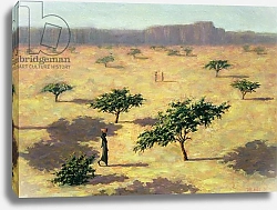 Постер Уиллис Тилли (совр) Sahelian Landscape, Mali, 1991