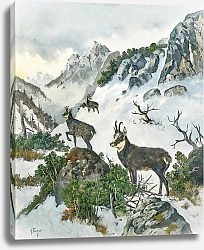 Постер Бергер Георг Серна высоко в горах