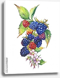 Постер Веточка ежевики с ягодами и цветами 3