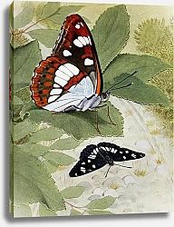 Постер Робер Поль-Андре Лазурный Сильван