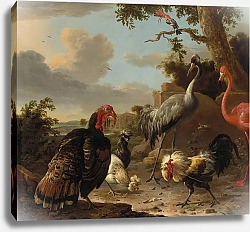 Постер Д'Ондекотер Мельхиор Журавль-сарус, фламинго, дикий бронзовый индюк, две падуанские птицы, серебристый березовый петушок и удод на фоне пейзажа