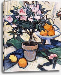 Постер Пеплой Самуэль Pink Azalea and Oranges, c.1913