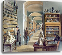 Постер Гоэбль Карл The second room of Egyptian antiquities in the Ambraser Gallery of the Lower Belvedere, 1879
