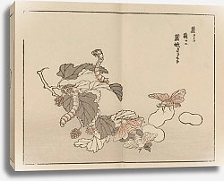 Постер Байрей Коно Байрей гафу, пл. 62