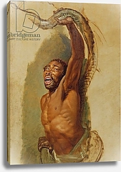 Постер Уорд Артур Man Struggling with a Boa Constrictor, Study for 'Liboya Serpent Seizing its Prey', c.1803