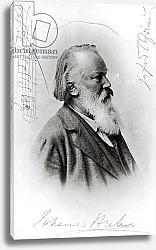 Постер Школа: Немецкая школа (19 в.) Johannes Brahms