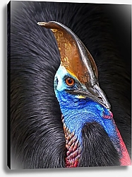 Постер Пестрая птица с гребнем