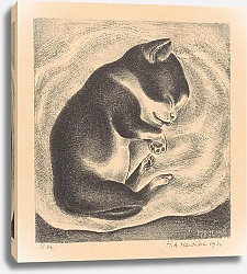 Постер Хенриет Хенк Slapende, jonge kat