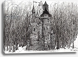 Постер Бут Александр Винсент (совр) The Castle in the forest of Findhorn, 2006,