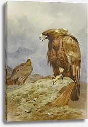 Постер Торнбурн Арчибальд (Бриджман) A Pair Of Golden Eagles