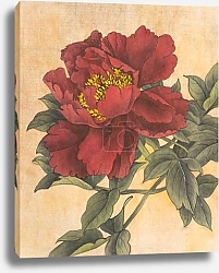 Постер Красный пион в ретро-стиле