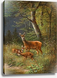 Постер Мюллер Моритц Семейство благородных оленей на лесной поляне