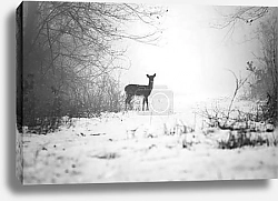 Постер Косуля в поле, ретро