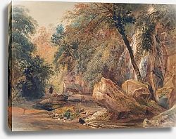 Постер Уинт Питер Waterfall in the Dingle at Badger Hall