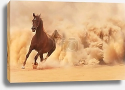 Постер Арабский скакун 2