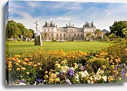 Постер Франция, Париж. Вид на Люксембургский дворец и цветы на переднем плане