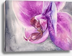 Постер Розовый цветок орхидеи с небольшой каплей воды
