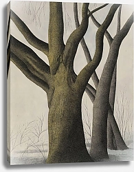 Постер Спиллиарт Леон Большое дерево