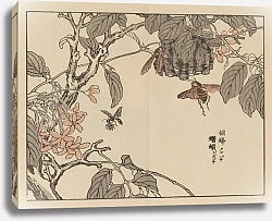 Постер Байрей Коно Байрей гафу, пл.55