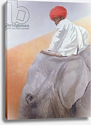 Постер Селигман Линкольн (совр) Elephant Boy