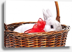 Постер Кролик в корзинке