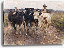 Постер Зюгеь Генрих Пастух с молодняком крупного рогатого скота