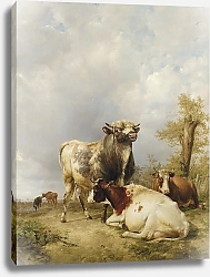 Постер Купер Томас Сидни Бык и коровы на фоне пейзажа