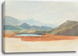 Постер Ричмонд Джеймс Лагуна, цветущие камыши, Ванака