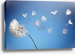 Постер Разлетающийся одуванчик на синем фоне