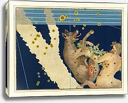 Постер Байер Иоганн Lupus and Centaurus